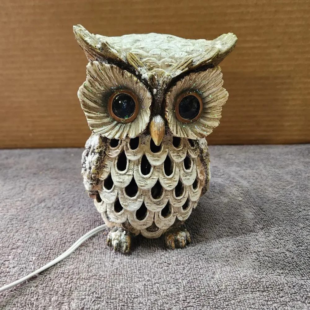 Ceramic Owl Decor light doesnt work, maybe the lightbulb?  X